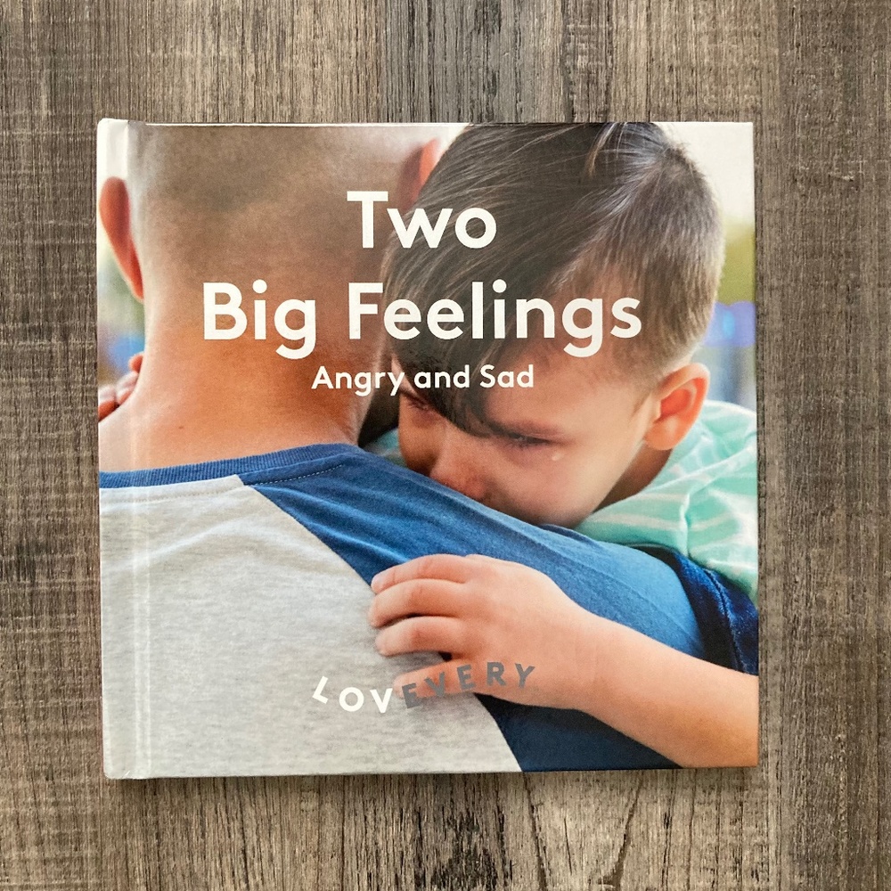 Two Big Feelings Lovevery Book